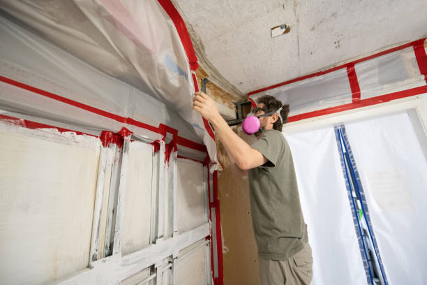 Best Environmental Consulting for Mold Prevention  in Wood River, NE